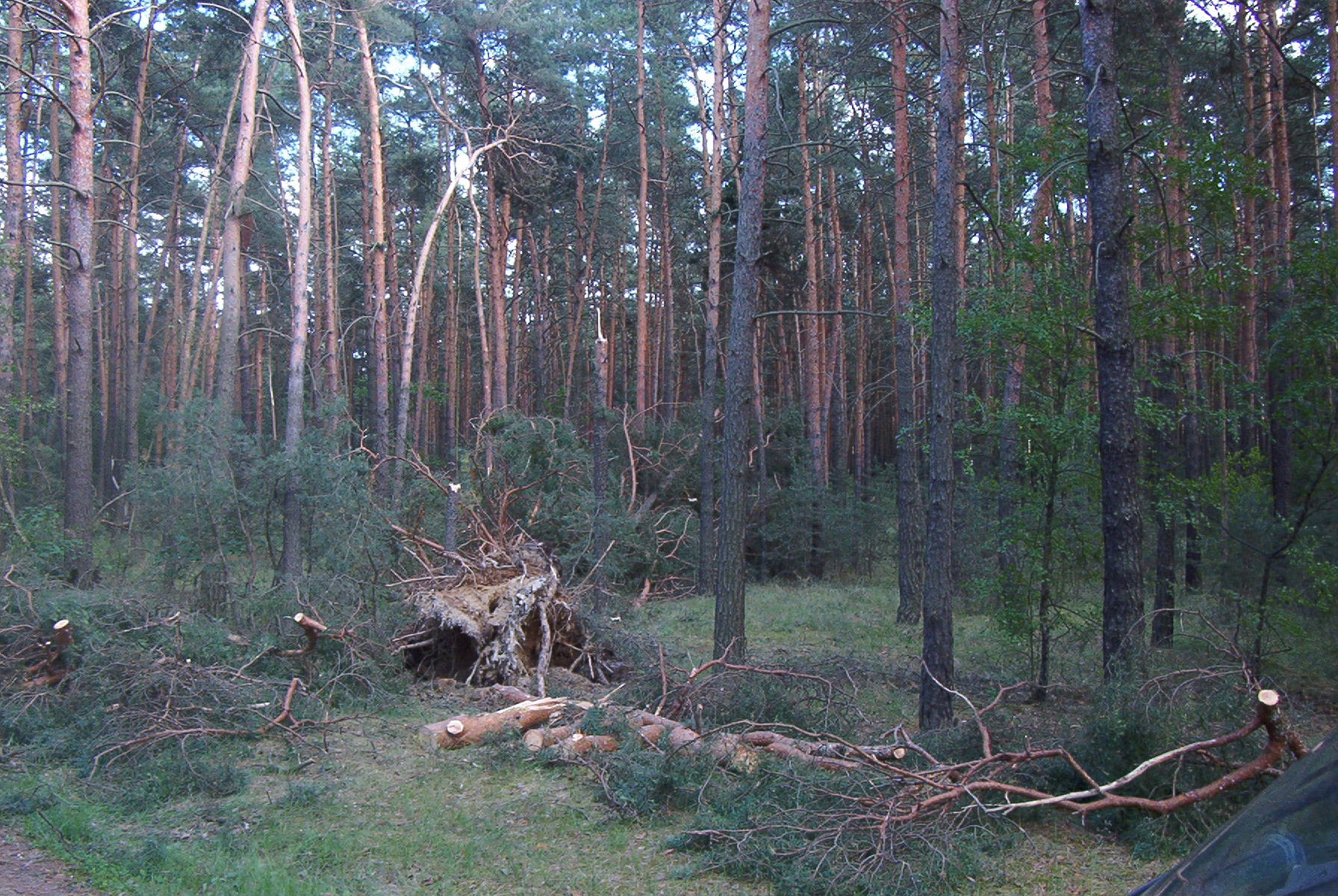 Zwischen Mügeln und Oehna